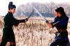 photo/movie_pix/sony_pictures_classics/house_of_flying_daggers/_group_photos/andy_lau5-th3.jpg