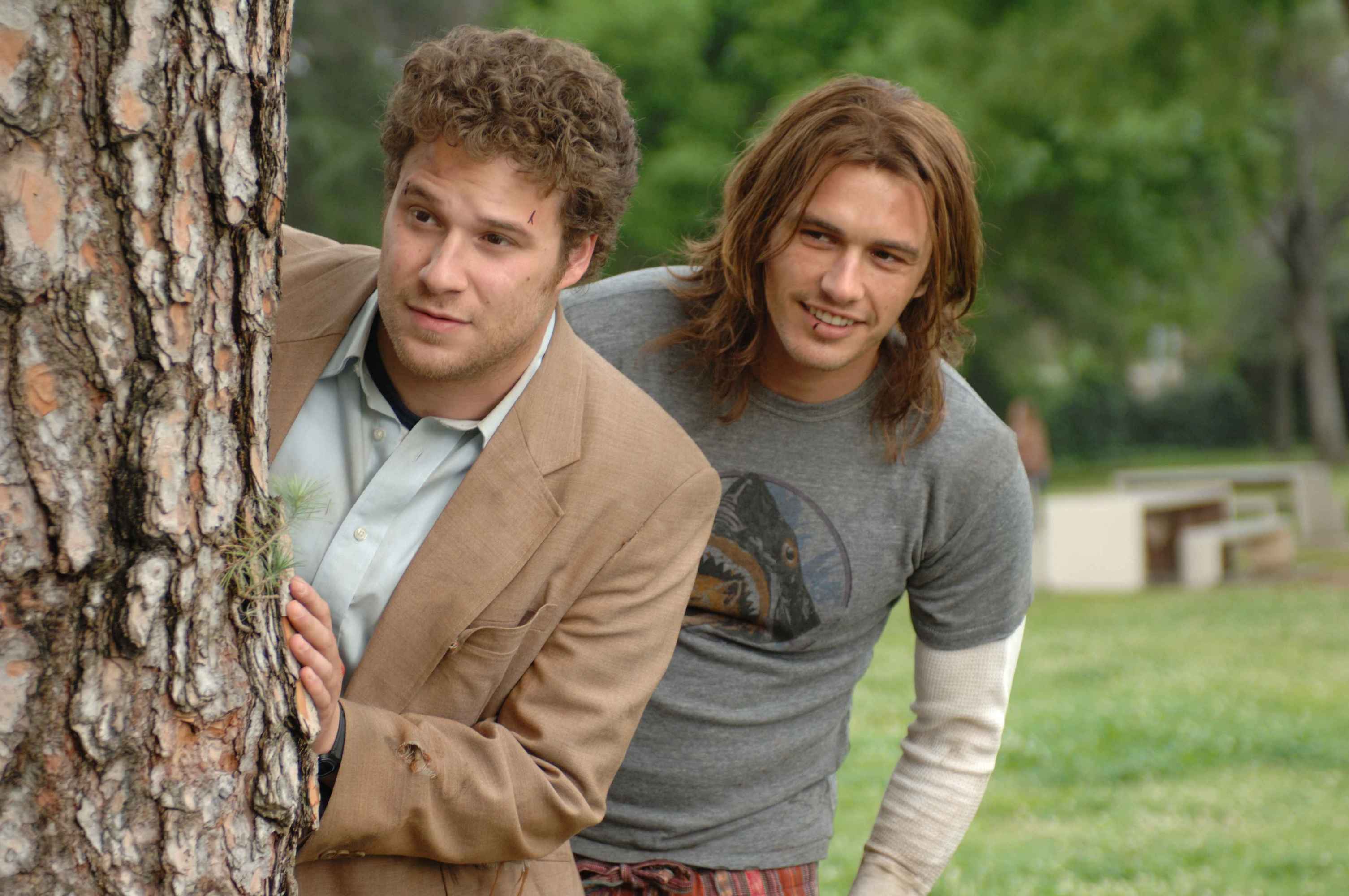 Funny Pineapple Express