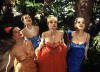 Surprising things are afoot in Paramount Pictures' The Stepford Wives
