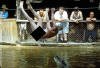 Jackass: The Movie